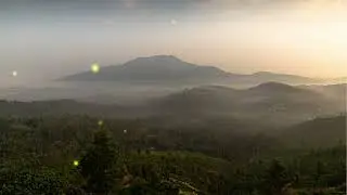 Chinese Relaxing Music for Study & Work | Gentle Guzheng & Dizi | Soft Vocals, Deep Calm