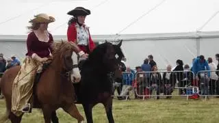 Welsh Pony & Cob Society demonstration 2016