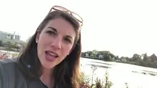 What is Consecrated Virginity?