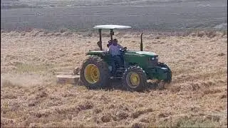 tractor agricola con desvaradora cortando la paja de arroz.(cutting rice straw)