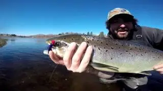 Crossrivers