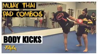 MUAY THAI PAD Combos: Rear Body Kick - Cross / Lead Body Kick - Jab