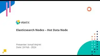 0079 - Elasticsearch Nodes – Hot Data Node