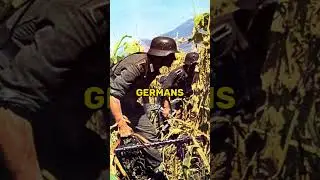 Unknown Facts about Historical Warfare Part 2. #history  #shorts