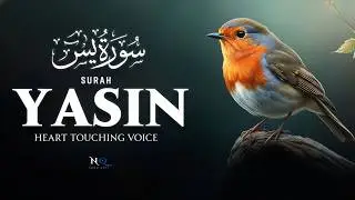 Surah Yaseen سورة يس | BEAUTIFUL Quran for HEART RELIEF & TRANQUILITY | Lofi Recitation