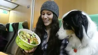 Traveling To Sweden | Raw Vegan Vlog