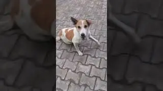 Apne pillie aur apna chotu masum se bache hai subah uthne ka Mann nhi hota lekin thund mein Jata hun