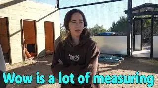 Майя вернулась, чтобы узнать, как у нее дела.