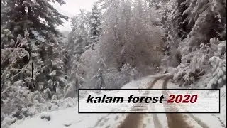 Kalam Usho forest visit  snowfalls beautiful weather today kalam valley swat