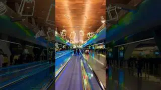 🔥Most beautiful 😍 Airport Doha Qatar 🇶🇦🦋🌹🦋#doha #qatar #airport #airplane #aviation #travel