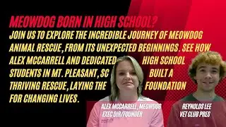 The Inspiring Story of Meowdog Animal Rescue: From High School Project to Formal Organization