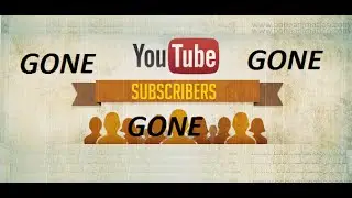 My subscribers disappeared! YouTube Removed Them? OR counting error? THIS MAKES NO SENSE!