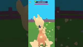 Zoo Happy Animals Level 5 #shorts #shortvideo #games #gameplay #timeofbreak #timeofbreakyt