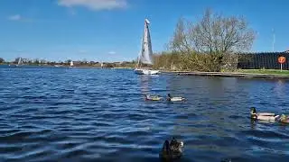 SAILING BOATS KINNEGO MARINA IRELAND
