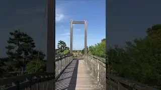Summer is on the way!! Beautiful nature JAPAN
