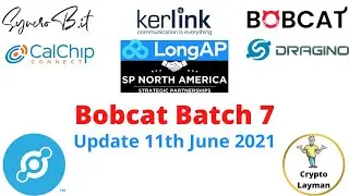 All Helium hotspot Vendors Update 11th June 2021 Bobcat batch 7 details.