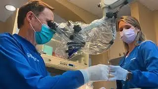 Associated Endodontists of Melbourne, Dr. Paul Scott, DDS, MS