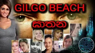 එක කෙස් ගසකින් හෙළි වූ, වසර 13ක්&zwnj; පැරණි අභිරහස. Gilgo Beach Serial Killer. (සත්&zwj;ය කතාවක් )..