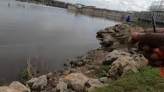 Port Myakka Fishing