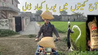 Aaj khaiton main khad dali