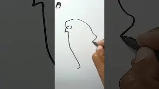 Picasso 
