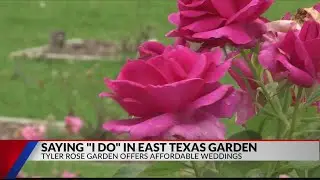 Tyler Rose Garden offers affordable wedding venue