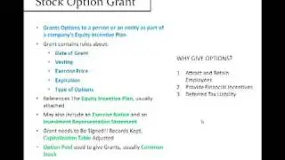 Stock Options Grant