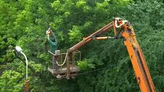 PPE and Working at Heights Safely with a Chainsaw