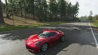 Alfa Romeo 4C 2014 I Forza Horizon 4 I Autumn I + Telemetry / Subtitles