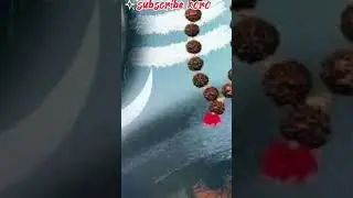 Rudraksh ki mala #rudraksh #viral #hit #views #like #1000subscriber #short