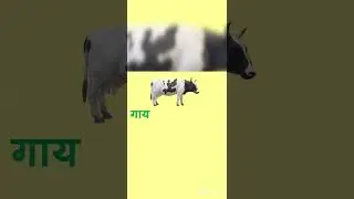 pls subscribe- 4kids- Hindi-English-Malayalam( shorts @kidsnotebook )