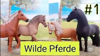 Wilde Pferde #1 Weg von hier 🐎🐎🐎