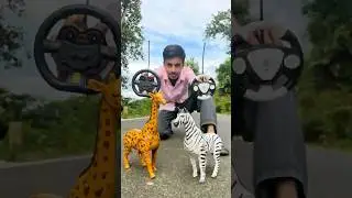 Remote Control Natun Zebra and Giraffe Unboxing