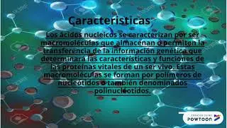 ACIDO NUCLEICO