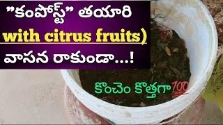 How to prepare compost || citrus compost || వాసన లేకుండా సులువుగా 