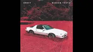 Brett - Wisdom Tooth