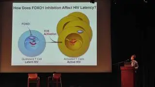 HIV and cellular stress: unexpected connections with viral latency