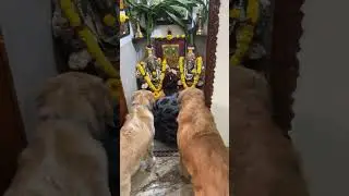 🙏🙏