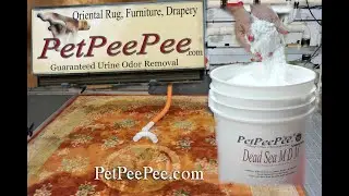 Chemical-Free Oriental Rug Clean from Yoga Sweat & Body Odor | PetPeePee&reg;