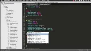 CSS3 Keyframe Animation