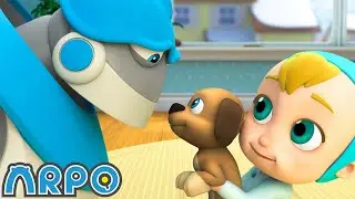 Puppy PANIC!!!  | BEST OF ARPO | Funny Robot Cartoons for Kids