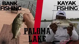 Bank/Kayak Fishing Paloma Lake