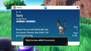 Where to find Starly | Pokemon Scarlet and Violet