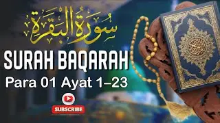 Surah Al Baqarah (سورة البقرة) | Para 01 | Ayat 1–23 | Quran vibe | Quran Tilawat