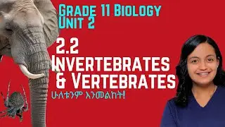 Grade 11 Biology Unit 2 : Animals , 2.2 Invertebrates and Vertebrates| Saquama