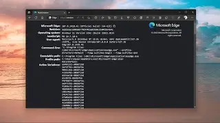 How to find out which Edge browser (or any Chrome browser) version  you have on Windows