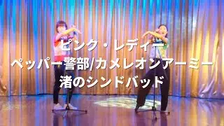 ピンク・レディー - ペッパー警部、カメレオンアーミー、渚のシンドバッド  / ANNA マンツーマン CLASS