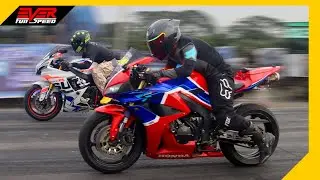 DRAG RACES 🔥 Versys 1000 🆚 GSX-R600 🆚 MT-09 🆚 CBR600RR 🆚 Z900 🆚CB1000R 🆚 GSR750 🔥Track Times