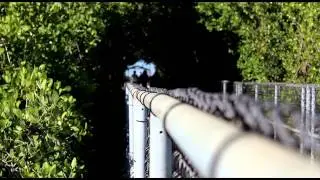Canon EOS Rebel T3i/600D Test Footage