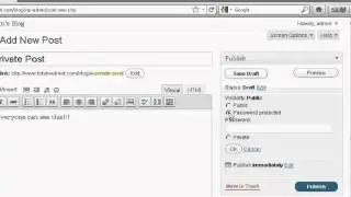 Create A Password Protected Post in WordPress